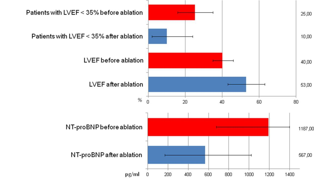 Katheterablation bei Patienten mit Herzinsuffizienz - Metaanalyse - 40%