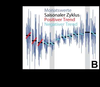 Variabilität MSL und Tideregime ausgeprägte Saisonalität in der gesamten Deutschen Bucht (Amplitude 20-29 cm) Saisonalität