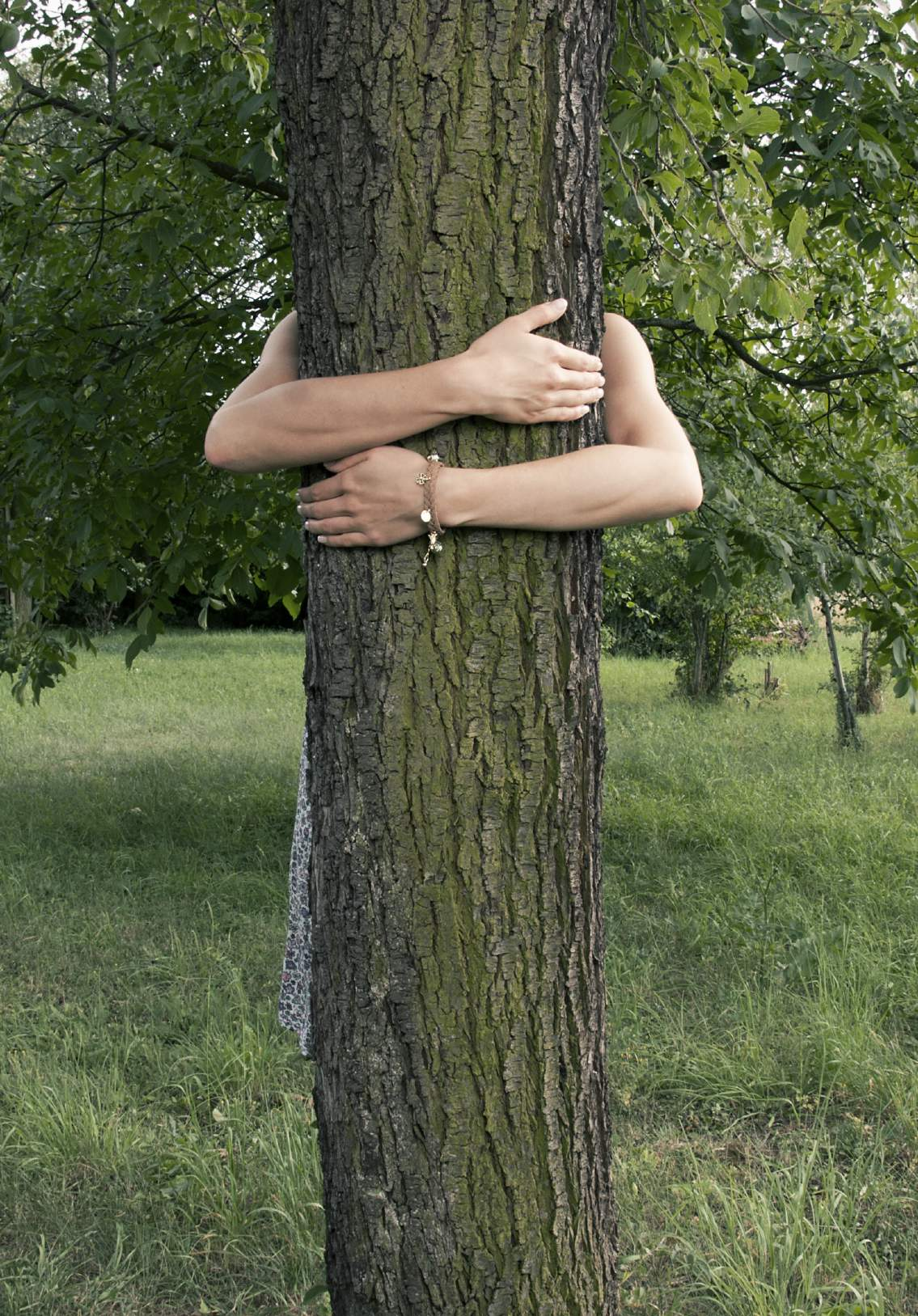 Der verlängerte Arm der Natur. / Produktliste und Preise BURGER. SÄGEWERK UND HOLZHANDEL Franz Burger e.