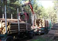 20-30% Beschaffungskosten Holzmangel durch erhöhte Produktionskapazitäten der Werke und steigende Holzpreise Bedarfsdeckungsrisiko für KMU Unzureichende