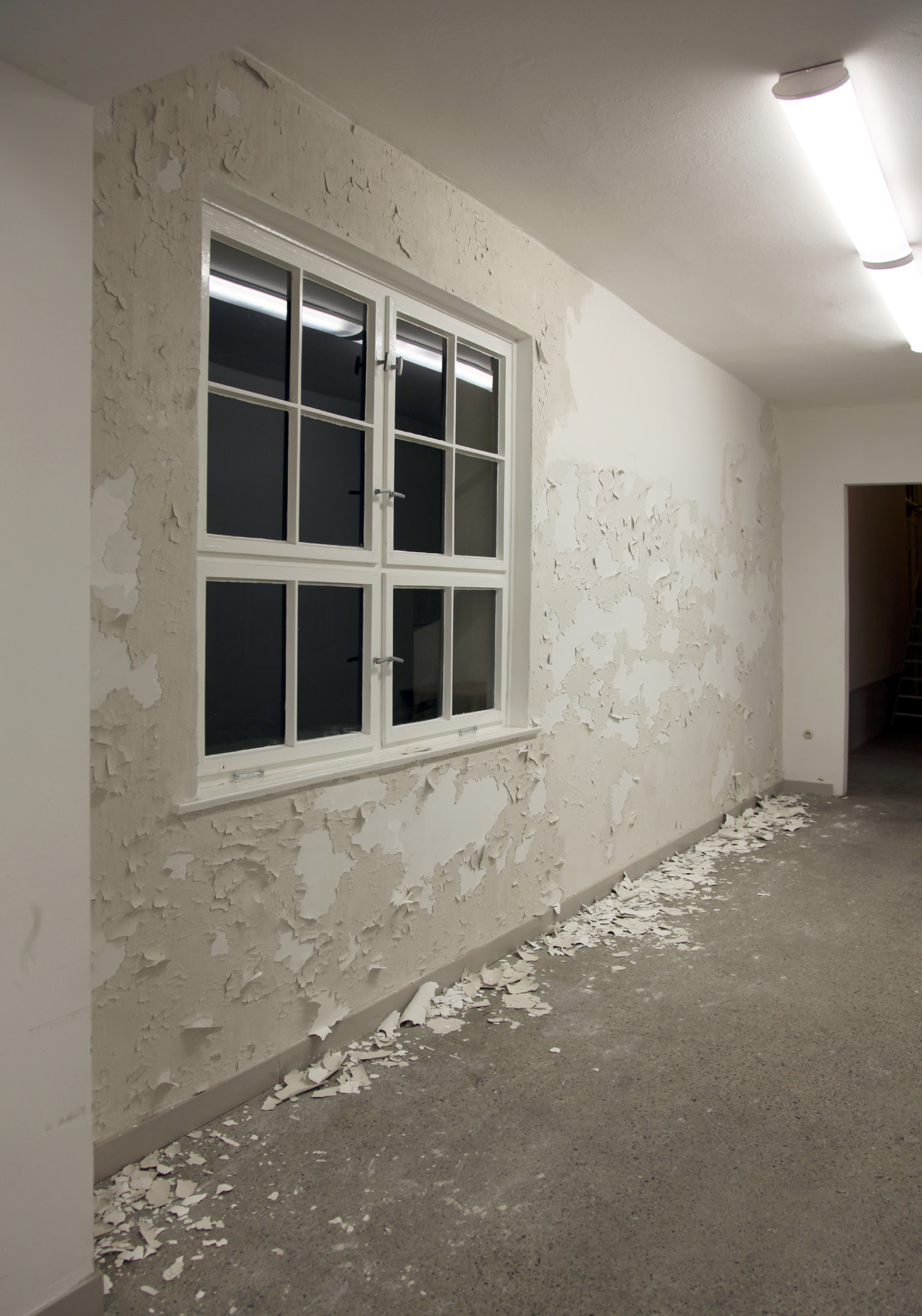SELBSTHÄUTENDE WAND, 2012, Ton, Pigment, Binder, 450x320x3cm Eine glatt verputzte Wand häutet sich nach und nach über den
