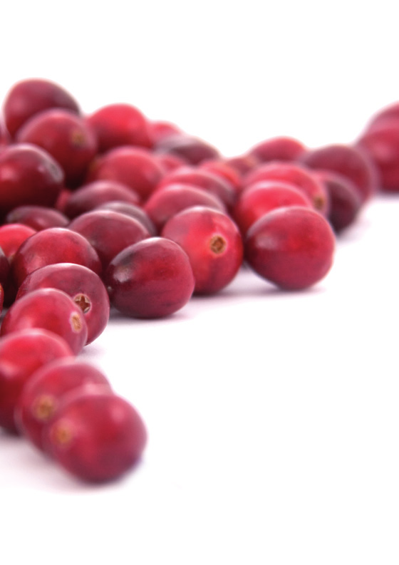 cranberry pulver Urovit ist ein Nahrungsergänzungsmittel aus der nordamerikanischen Cranberry Vaccinium macrocarpon und enthält 36 mg Proanthocyanidine in der
