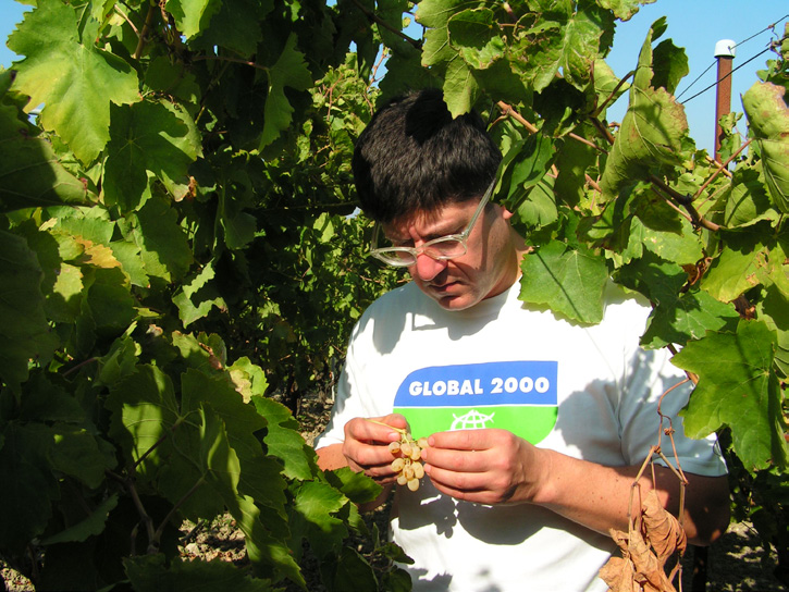 Kontrolle Die ExpertInnen von GLOBAL 2000 ziehen jede Woche Stichproben aus dem konventionellen Obst- und Gemüsesortiment der REWE International AG.
