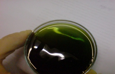 Geräte: Petrischale Pinzette Becherglas Spatel Rundfilter Versuchsdurchführung: Zu 10 ml Kaliumdichromatlösung