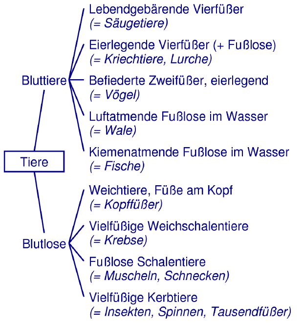 (2008): Systematische Zoologie, UTB basics, 338 S.