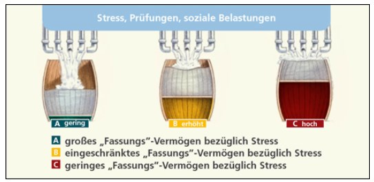 Vulnerabilitäts-Stress-Modell Die Vulnerabilität (lat.
