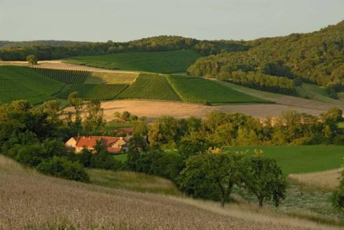 Abwechslungsreicher Steigerwald: Wein und Wald Der Blick aus der Vogelperspektive auf die Laubwälder des Nördlichen Steigerwaldes zeigt einen