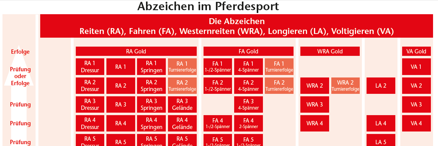 1. Allgemeines zu Abzeichen im Pferdesport Reiten lernen in kleinen Schritten das ist der Gedanke der Reitabzeichen 10 bis 1. Die Reiter jeder Altersstufe können 10 verschiedene Abzeichen ablegen.