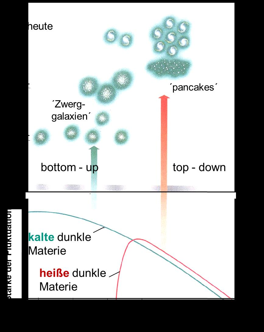 LSS - Entwicklungsszenarien 2 grundlegende LSS- Szenarien: top-down & bottom-up top-down : HDM (ev-neutrinos) heiße dunkle Materie -