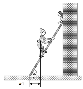 BMS Physik Aufgaben Statik 0. Eine drehbar gelagerte Stange (Zeichnung links) wiegt 10 kg, am unteren Ende hängt eine Last von 50 kg. Am unteren Ende wirkt eine horizontale Kraft F 3.