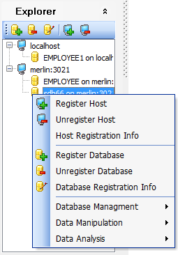 63 2.8 DB Explorer Unter der Navigationsleiste finden Sie den DB Explorer, er zeigt alle registrierten Hosts und Datenbaken an.