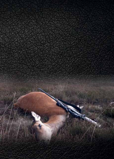 Jagd - Passion - Nachhaltigkeit K&K Premium Jagd jagd