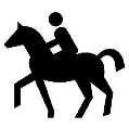 Pferdesport Der Pferdesport ist ein Teilbereich des Sports, der alle Sportarten umfasst, die mit dem Pferd als Partner ausgeübt werden.