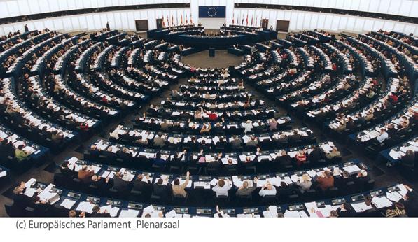 Wechselnde Mehrheiten je nach Thema Im Europäischen Parlament gibt es nicht wie etwa im österreichischen Parlament Regierungs- und Oppositionsparteien.