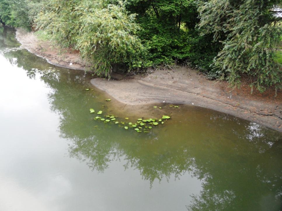 Foto 3: Sedimente in der Oker im Bereich Neustadtring/Wendenring Bericht in Arbeit Feuerwehr, Stadtentwässerung und die Wasserbehörde arbeiten bereits an einem umfassenden Bericht, der die nach 2002