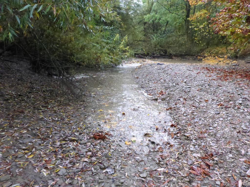 Gespeist durch die Niederschläge vom 18. und 19. Oktober 2016 führt die Alme in dem Abschnitt wieder etwas Wasser.