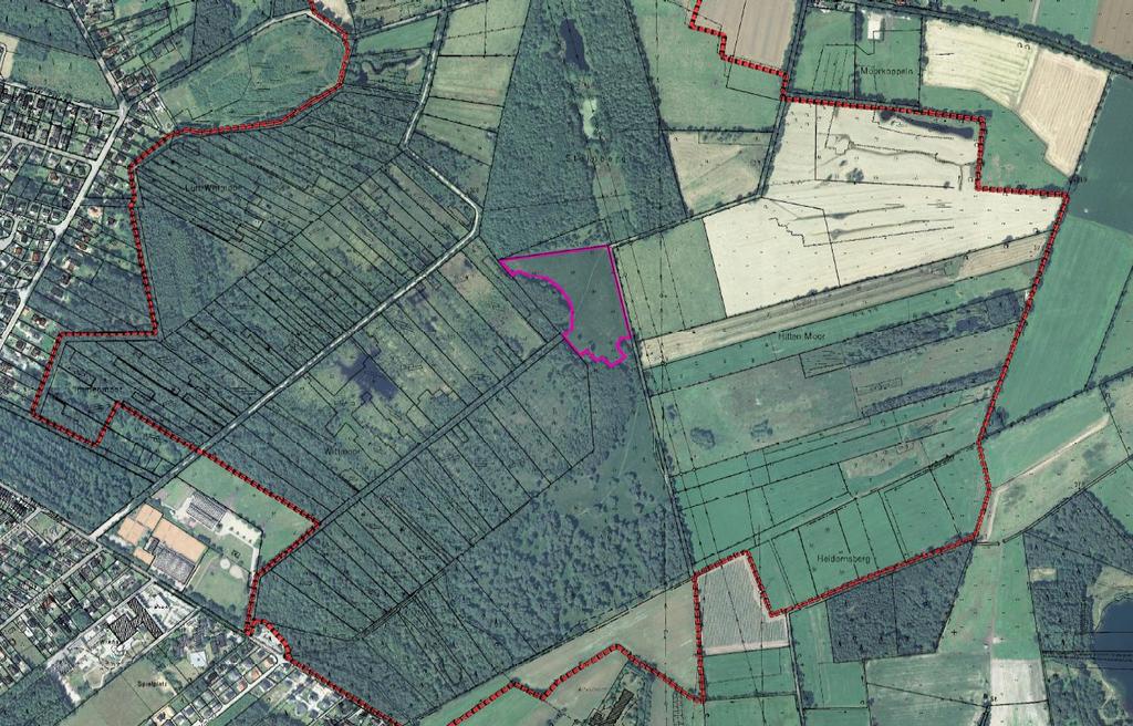 Erste Maßnahme 2016 2-3 ha Heideplaggen Anschreiben auf an Fläche Eigentümer von Kreis der Stiftung Naturschutz im Winter 2016