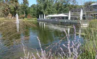 Damit Touristen die Stadt nutzen und beleben, bietet Tulln neben Messen und dem Donau-Radweg ein Projekt für Kunstinteressierte: Egon Schieles Geburtshaus ist nun neu gestaltet und eröffnet und