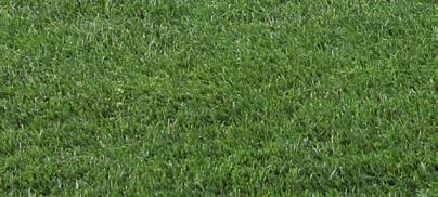 Basfoliar Turf Complete SL Flüssiger Volldünger 9+4+6(+2), mit Magnesium und Spuren nährstoffen für sportlich genutzte Rasenflächen wie Golfgrüns, Abschläge und hochwertige Sportplätze.