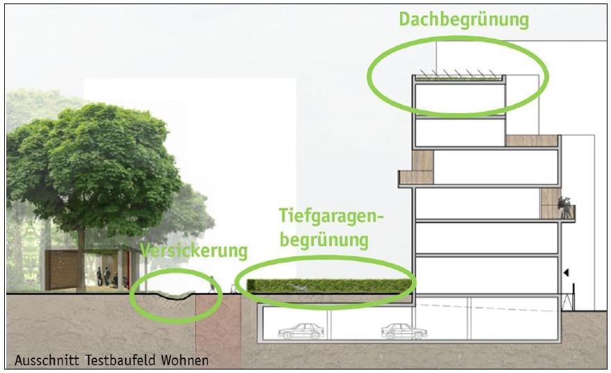 Regenwasserwirtschaft - Konzept Gründächer mit Photovoltaikanlagen Durchlässige Bodenbeläge Tiefgaragenbegrünung