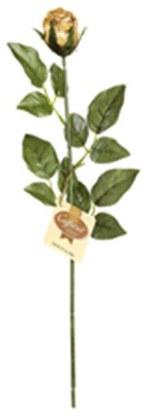 unsere Rose mit einer Blütenknospe aus feinster Vollmilchschokolade. Der circa 56 cm lange Stiel und die Blumenblätter sind aus Kunststoff und ohne Dornen. Gluten frei.