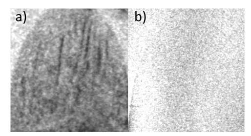 Abb. 1: Radiogramm eine FeSi Einkristalls gemessen mittels Talbot-Lau-Neutronen- Tomographie.