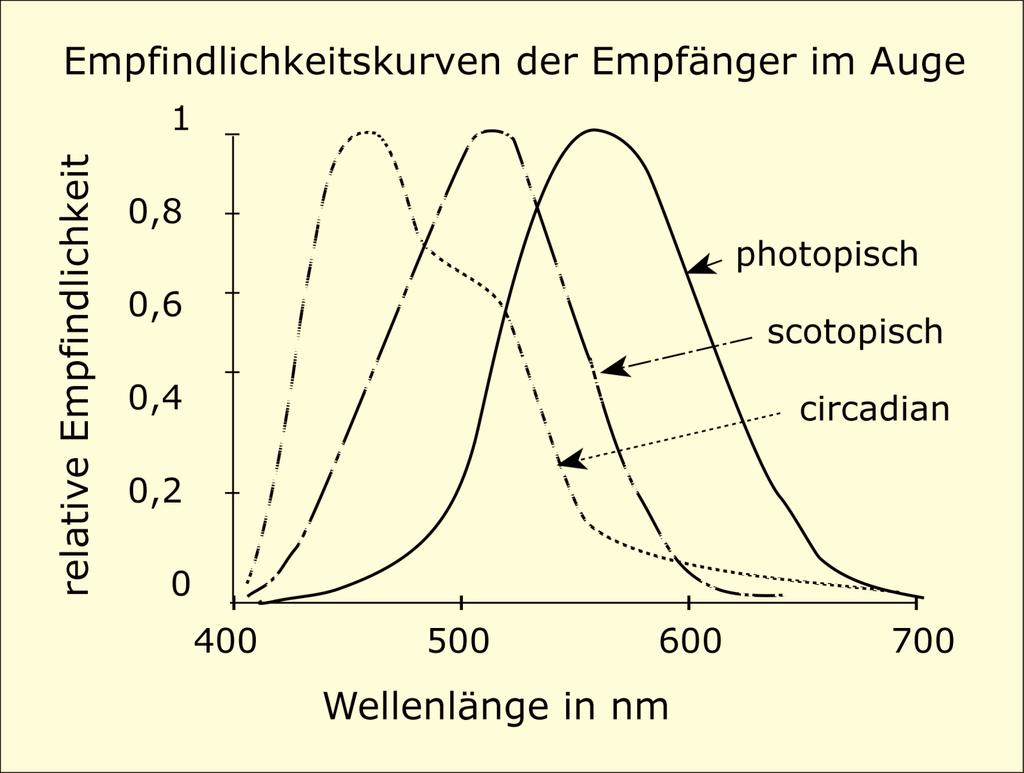 6 Abb. 2 Empfindlichkeitskurven für die photopische und skotopische Hellempfindlichkeit und empirisch ermitteltes Aktionsspektrum für Melatoninsuppression.