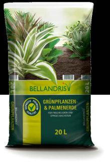 99 Bellandris Grünpflanzenund Palmenerde Spezialerde für alle