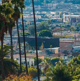 Doch Los Angeles ist nicht nur Hollywood, sondern bietet daneben einen breitgefächerten und abwechslungsreichen Kosmos: China Town, Little Tokyo, Beverly Hills, Venice Beach und Malibu bilden eine