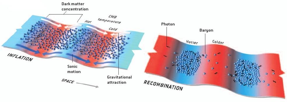 Das Gesamtbild -> Kosmische Hintergrundstrahlung Akustische Schwingungen: Baryonen fallen in Gravitationstöpfe ->