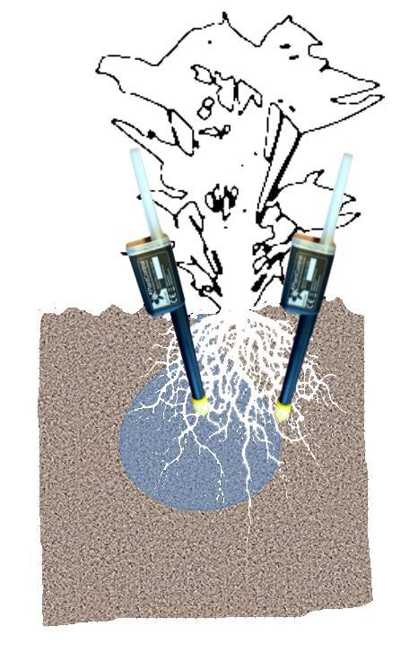 Hinweise zur richtigen Platzierung der Bodenfeuchtesensoren Einleitung Der PlantControl CX Bewässerungscontroller bestimmt den Startpunkt einer Bewässerung, wie auch die Dauer einer Bewässerung