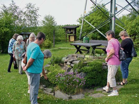 Am Höhberg Öffentlicher Heilkräutergarten Im vergangenen Jahr hatte unser Fachberater Reinhard Büttner die Idee, den leer stehenden Garten hinter dem Vereinsheim zu einem öffentlichen