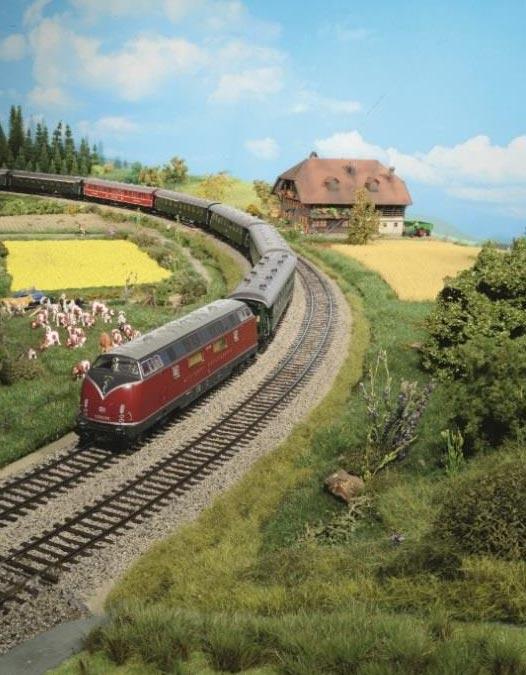 Herzlich Willkommen Die Anlage der Eisenbahnfreunde Tuttlingen Liebe Eisenbahn- und Modellbaufreunde, für diesen Herbst haben wir, die Eisenbahnfreunde Tuttlingen, uns etwas Besonderes einfallen