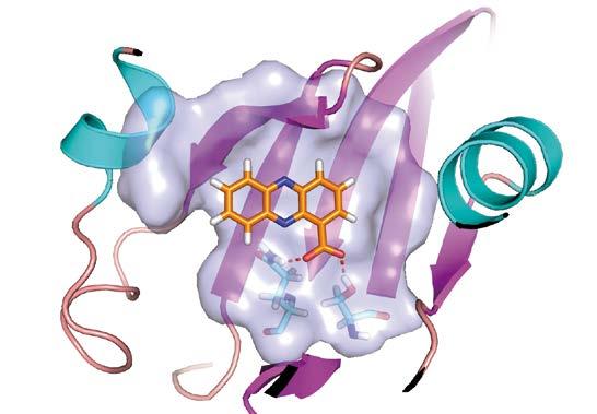 The peptide AKAP18δ- L314E is shown in magenta, its interacting side chains are depicted in stick representation with hydrogen bonds shown.