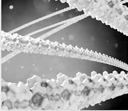 6 RESEARCH REPORT FORSCHUNGSBERICHT 2013/2014 / 2014 RESEARCH HIGHLIGHTS AKTUELLES AUS DER FORSCHUNG 7 das entsprechende für Anionen durchlässige Membranprotein haben Arbeitsgruppen weltweit lange