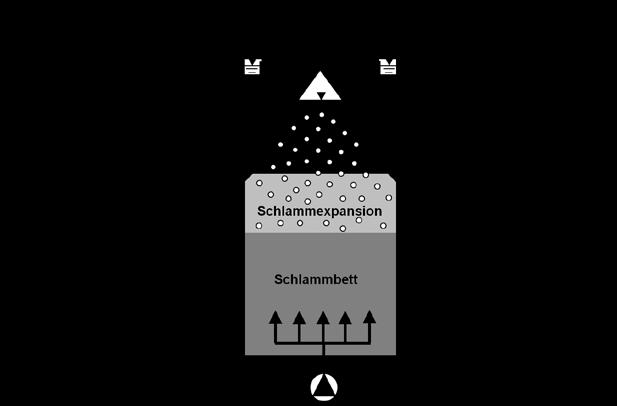 Anaerobe Kommunalabwasserbehandlung UASB Reaktor Zulauf- und Verteilungssyteme Faulraum Schlammraum (Biol.