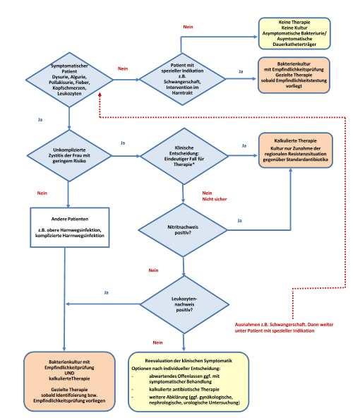 Urinuntersuchung Abbildung 5 Entscheidungsbaum - Diagnostik und Therapie bei symptomatischen Patienten (klinisch-mikrobiologischer Diagnostikpfad) *Bei der Erstmanifestation einer akuten