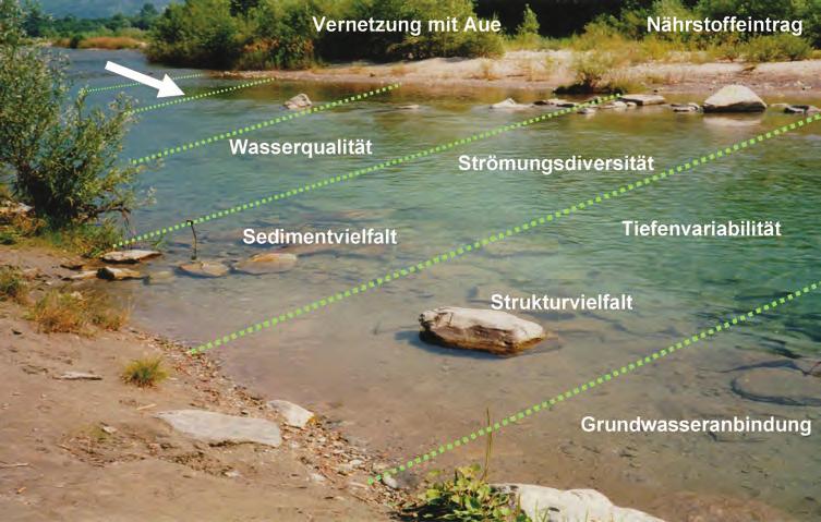 16 THEMENHEFT FORSCHUNG WASSER UND UMWELT 06 Abiotische Faktoren zur Beschreibung von Lebensräumen in Flüssen.
