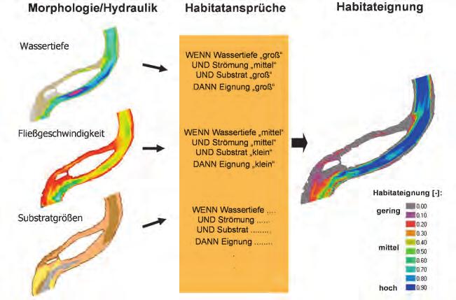 20 THEMENHEFT FORSCHUNG WASSER UND UMWELT 08 Funktionsweise des Habitatmodells CASiMiR am Beispiel des Laichhabitats der Bachforelle.