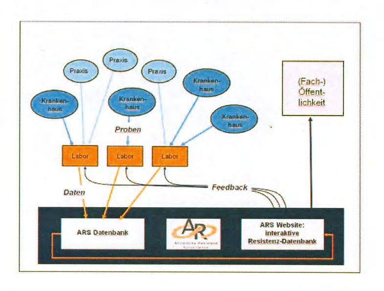 Struktur des ARS-Netzwerkes 9 10. September 2014 Dr.