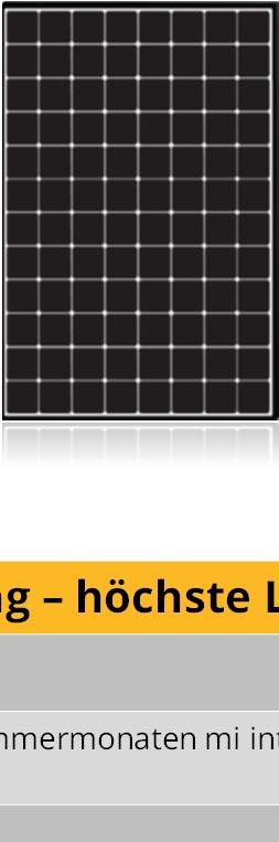 Überblick: X2 Solarmodul Das beste Solarmodul in jeder Hinsicht: Stromertrag, Zuverlässigkeit 2, Effizienz 3 und Ästhetik 335 Watt 2,2 % durchschn. Wirkungsgrad 345 Watt 2,5 % durchschn.