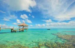 Lagune von Rangiroa T. McKenna 2. Tag: Tahiti Rangiroa (F). Transfer zum Flughafen und Flug über den Südpazifik zum Tuamotu-Atoll Rangiroa. 3 Ü: Kia Ora Resort Strandbungalow Jacuzzi. 3. Tag: Rangiroa Resort (F).
