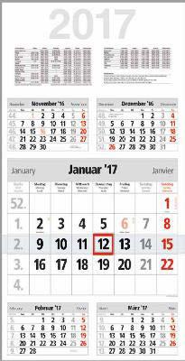 Kalender Monats-Wandkalender 5-Monats-Wandkalender Take Five 5 Monate / 1 Seite, 30 x 59 cm Bestell-Nr.