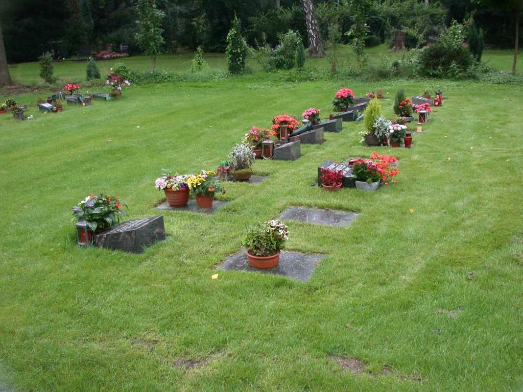 Gekennzeichnete Rasengräber ohne Pflegeverpflichtung für Urnen- und Sargbestattungen Rasenfläche mit verlegten Basisplatten Die Pflege der Rasenfläche wird durch die Friedhofs-verwaltung