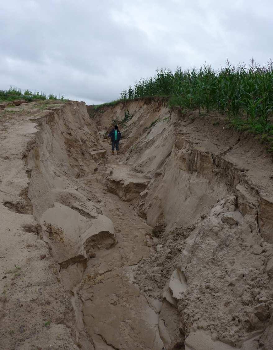 Bodenerosion möglich während der Bauphase oder als Folge der Bodengefügeschäden