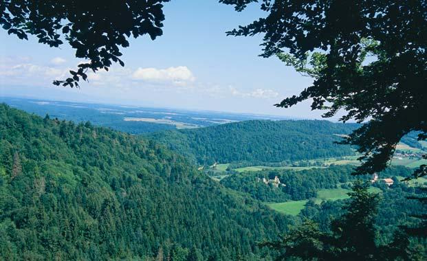 Blick auf den Sundgau und Schloss von Morimont 4. Tag Lucelle/Petit Kohlberg Porrentruy/Miécourt Wanderung auf Wegen der Baroche: 12 km. Wanderzeit 3 Std. 10 Min.