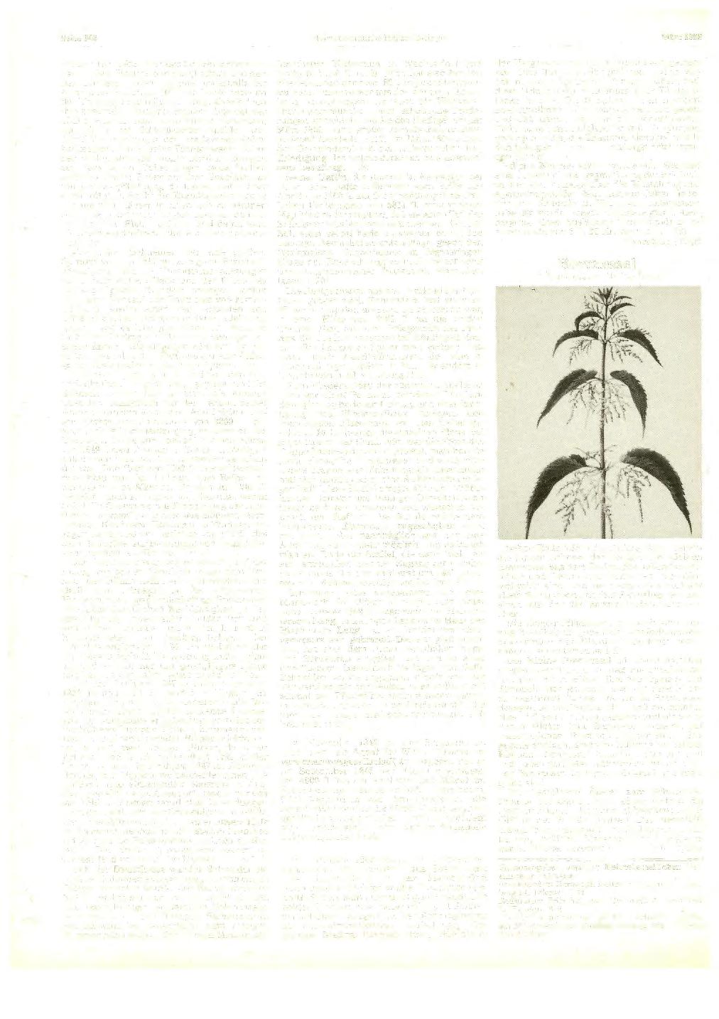 Seite 348 Heimatkundliehe Blätter Balingen März 1982 weitere Baupl ätze, den des Schuhmachers J 0 hann Adam B eck in der Kapell straße und den des Gürtlers Ludwig Speidei unterhalb der bisherigen