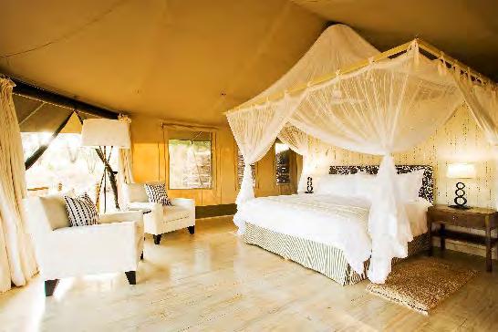 Sanctuary Swala bietet einen exklusiven Aufenthalt gepaart mit dem alten, wilden Safari-Ambiente in einer atemberaubenden, wildreichen Lage.