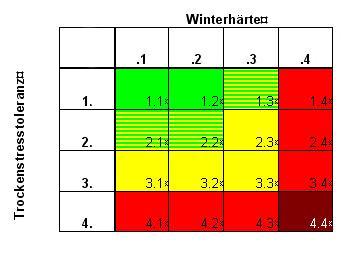 Tab. 4. Bewertung der Trockentoleranz und Winterhärte am Beispiel des Rot-Ahorns (Acer rubrum); Erläuterung der Spalten s. Legende zu Tab.7.2.