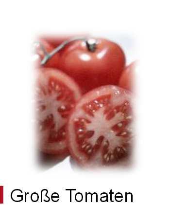 Tomaten nach Sorten aggregiert Einkaufsmenge (%) Ausgaben (%) Ø-Preis/kg in Jul 12 Jul 13 Jul 14 Jul 12 Jul 13 Jul 14 Jul 12 Jul 13 Jul 14 Große Tomaten 2,16 2,12 2,12 59 58 57 48 46 44